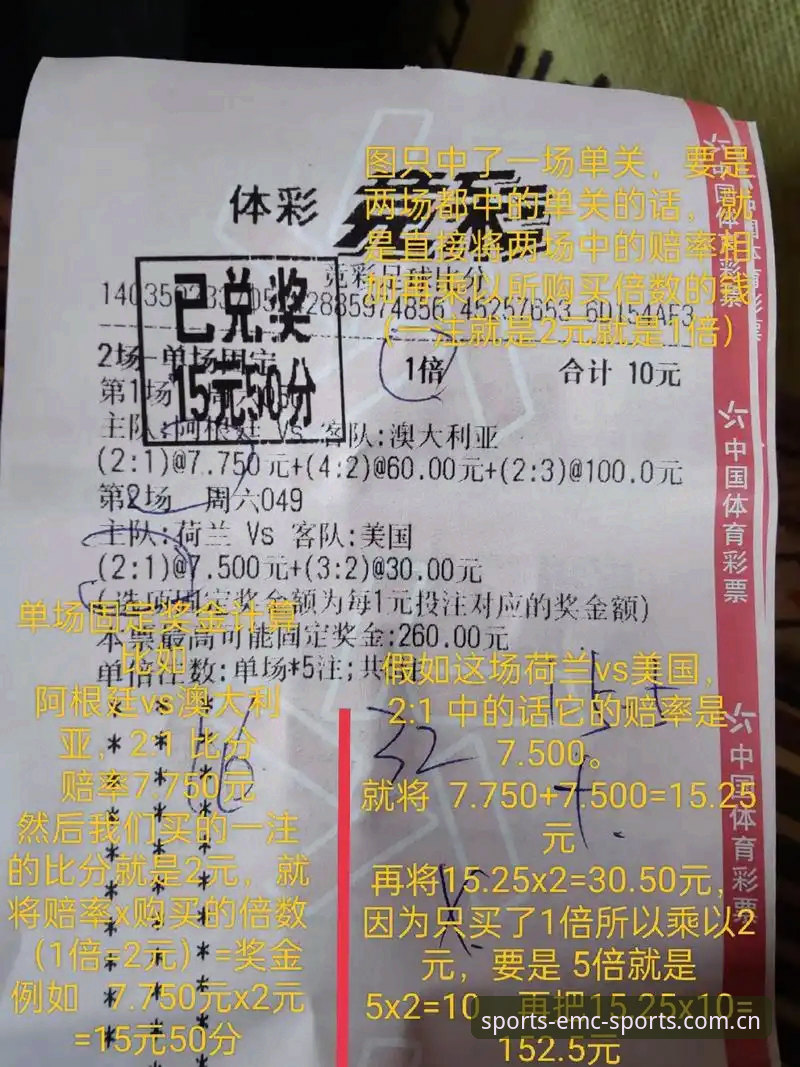 易倍体育视角：世界杯观赛签证危机完整解析指南